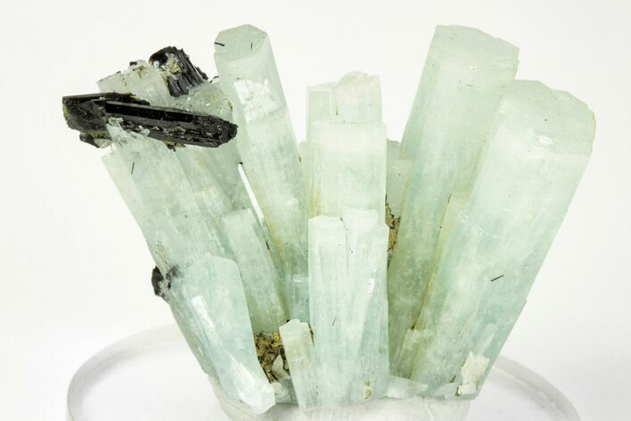 Aquamarine Crystal Spray - Erongo Mountains, Namibia #208026